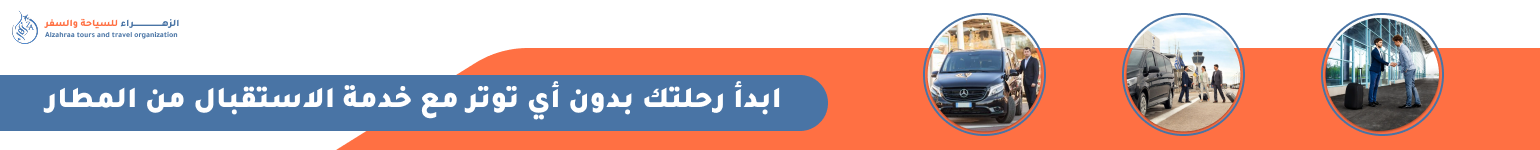 الاستقبال من المطار
